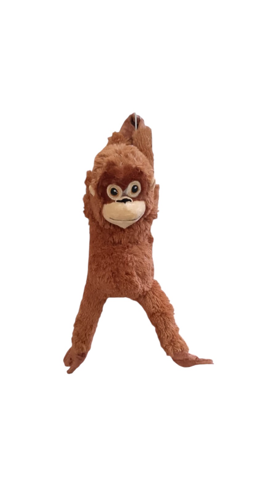360-60| 42.5 Orangutan 55cm
